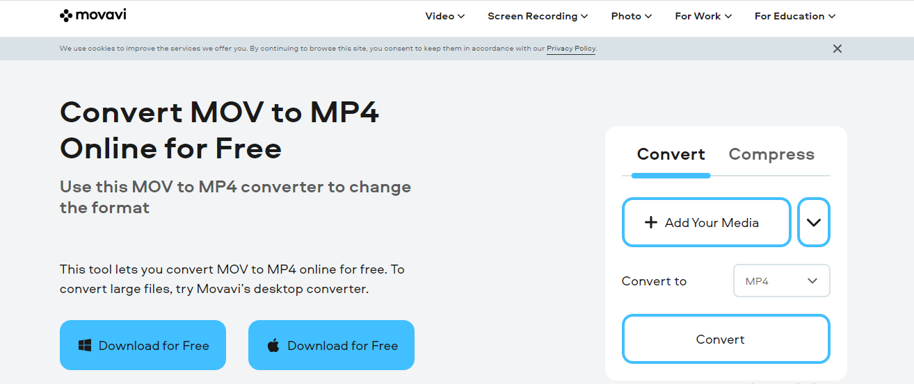 Movavi - Convert MOV to MP4