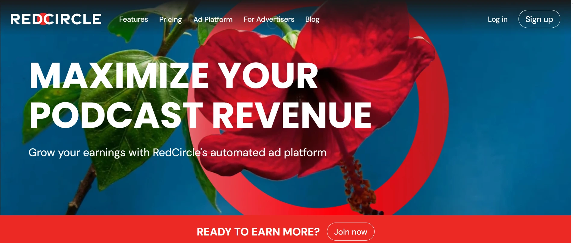 RedCircle Revenue Sharing Dashboard